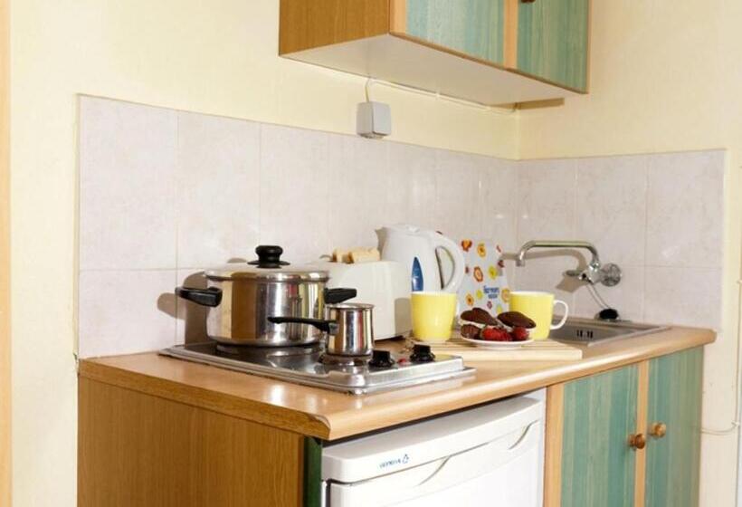 اتاق استاندارد سه نفره, Elena S Studios