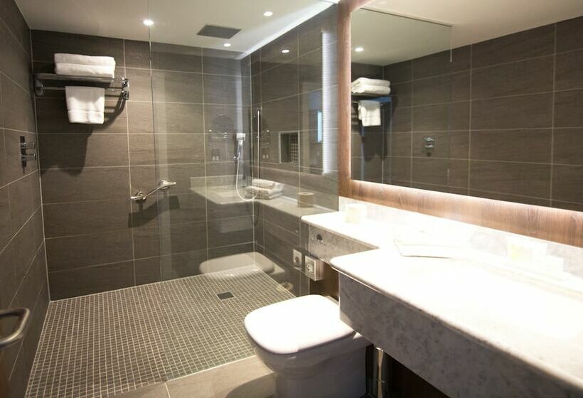 חדר דלוקס, Iveagh Garden