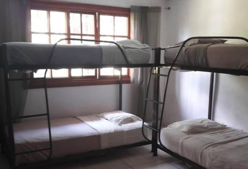 공동 객실, Hostal Gaia Hostel