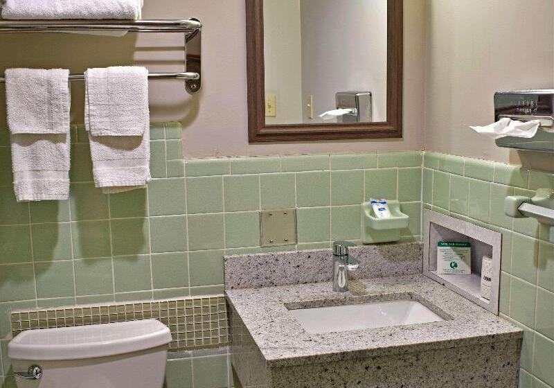 اتاق استاندارد, Lixus Beach Resort   All In