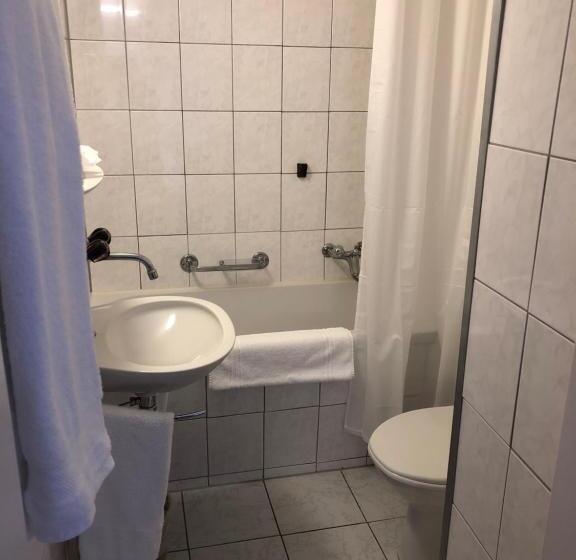 スタンダードルーム, Restaurant Heidihof