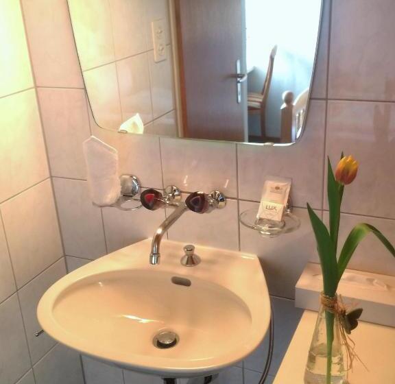 スタンダードシングルルーム, Restaurant Heidihof