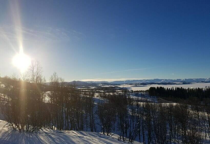 スタンダードルーム, Skinnarbu