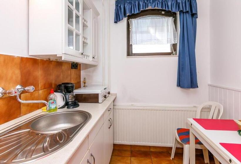 Студио Стандарт с Террасой, Steinhaus Bed & Breakfast