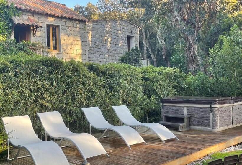 חדר סטנדרט, Chambres D Hôtes Barraconu