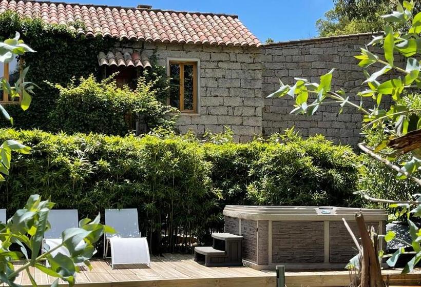 Номер Стандарт, Chambres D Hôtes Barraconu