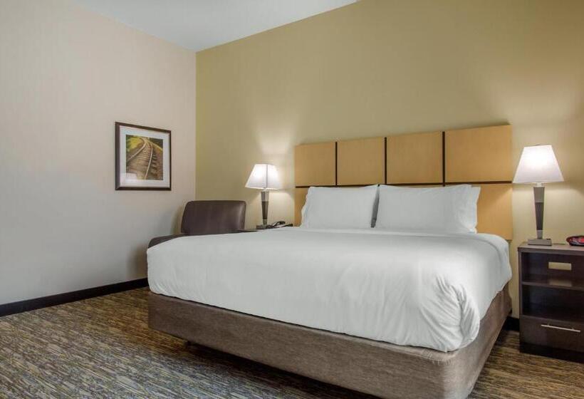חדר דלוקס עם מיטת קינג, Candlewood Suites San Antonio Lackland Afb Area, An Ihg