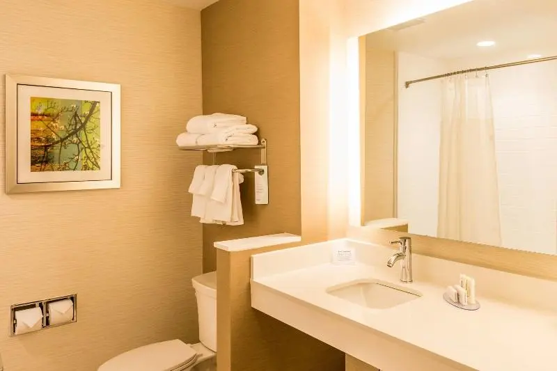 キングサイズベッドのスタンダードルーム, Fairfield Inn & Suites By Marriott Atlanta Fairburn
