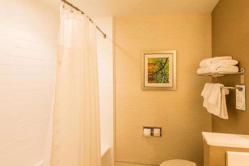 غرفة قياسية سرير كينج, Fairfield Inn & Suites By Marriott Atlanta Fairburn