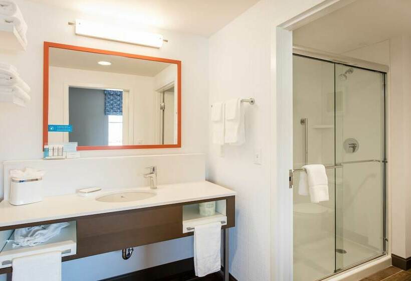 Студия Стандарт Двуспальная Кровать, Hampton Inn & Suites St. George, Ut