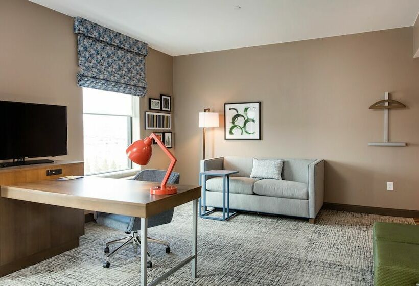 Студия Стандарт Двуспальная Кровать, Hampton Inn & Suites St. George, Ut