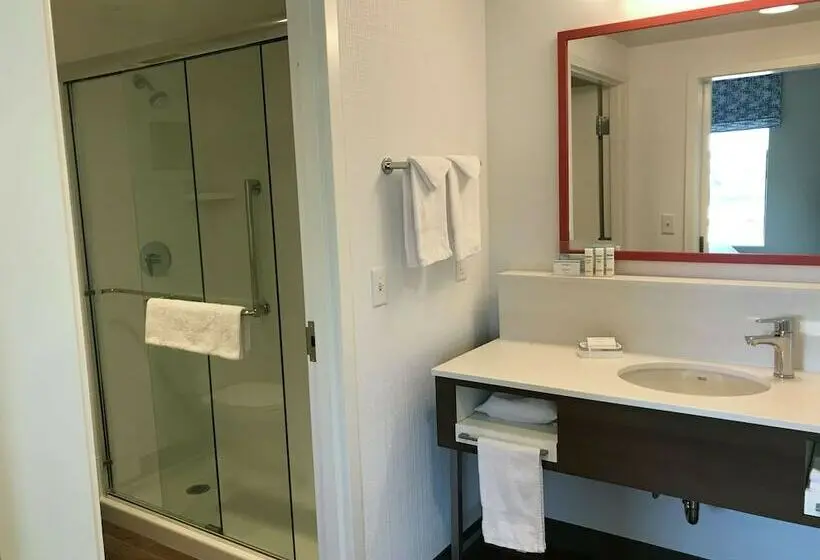 ダブルベッドのスタンダードスタジオ, Hampton Inn & Suites St. George, Ut