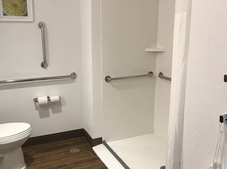 Студия Стандарт Двуспальная Кровать, Hampton Inn & Suites St. George, Ut