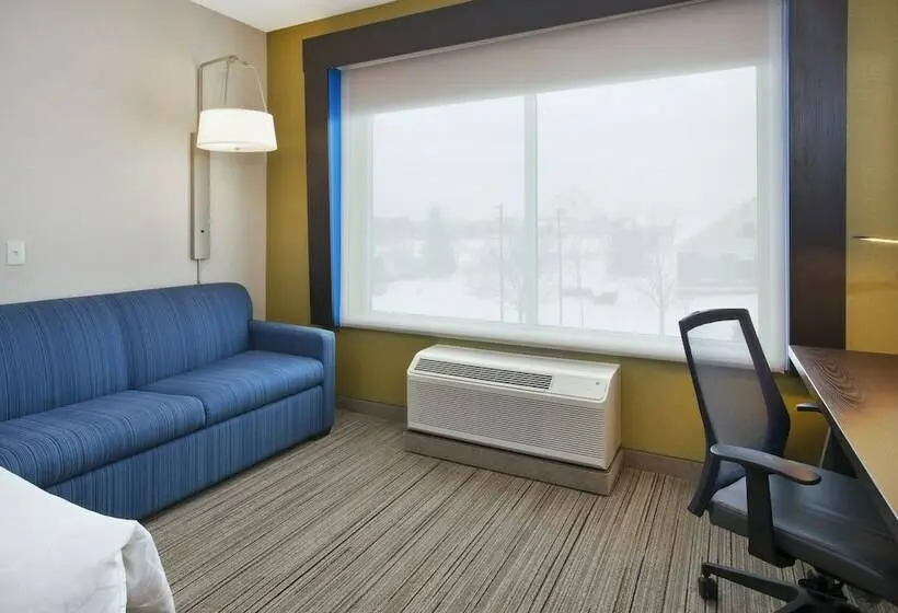 スイート, Holiday Inn Express   Auburn Hills South, An Ihg