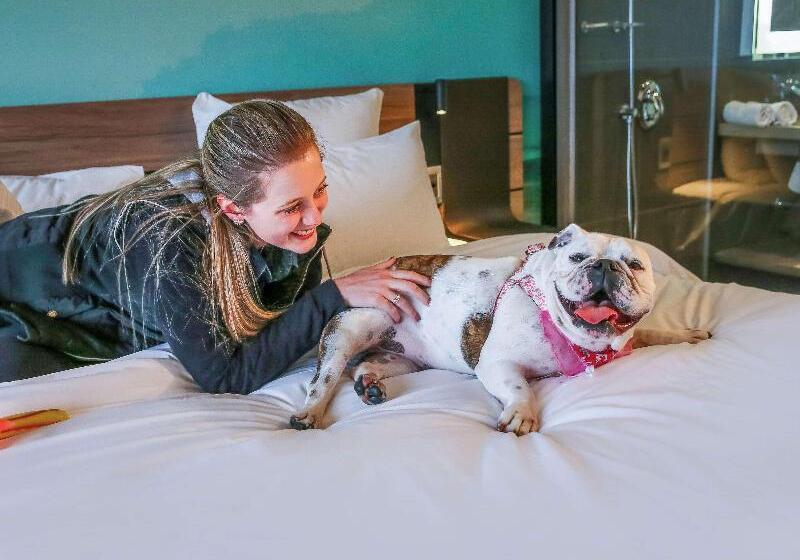 דירת חדר סופריור, Novotel Sorocaba