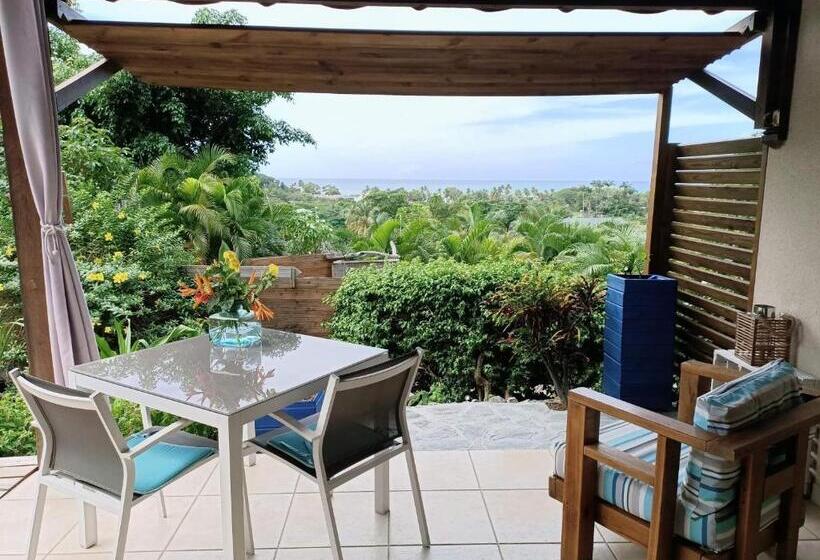 بانگلوی استاندارد, Ali Naïs Location