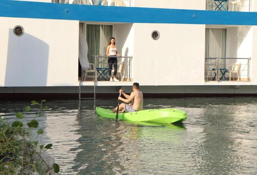 اتاق لوکس, C