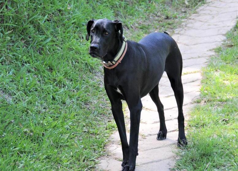 Семейный Номер Вид на Сад, Casa Finca Típica The Lake