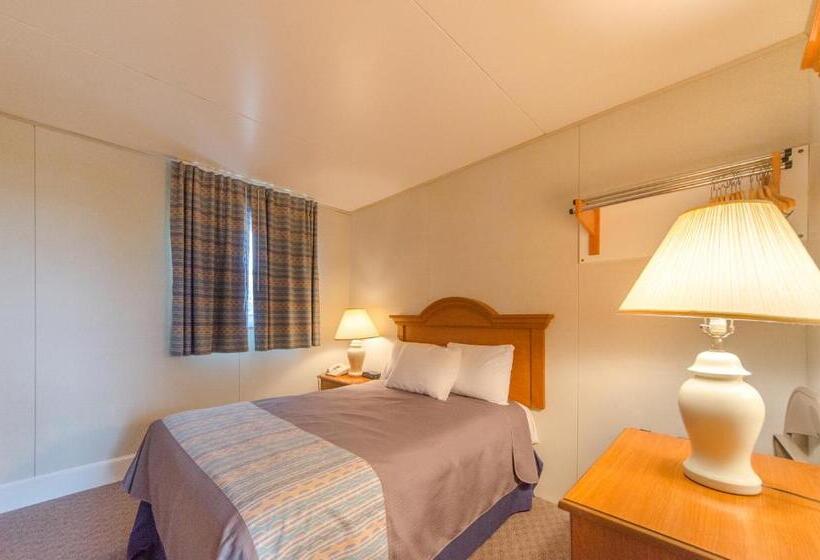 Номер Стандарт Верхний Этаж, Lark Motel