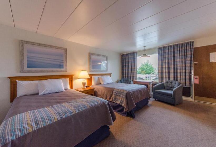 غرفة قياسية بالطابق الأرضى, Lark Motel