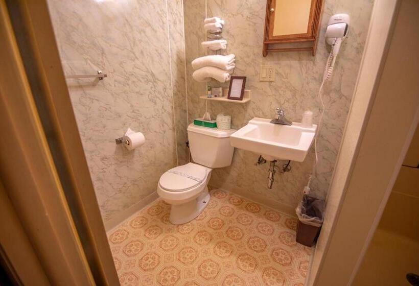 شقة ديلوكس غرفة نوم واحدة, Ridges Inn & Suites