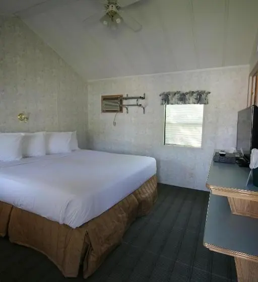 Standard-huone King-vuode, Bird's Nest Resort