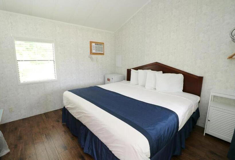 Standard Szoba King Size Bed, Bird's Nest Resort