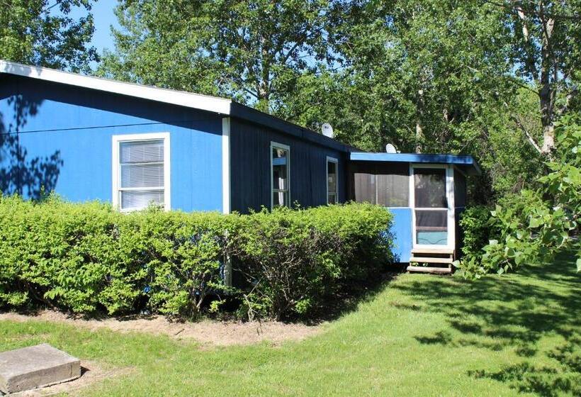 Kabin, Bird's Nest Resort