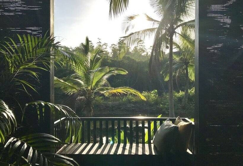 디럭스 방갈로, Kaju Green Eco Lodges