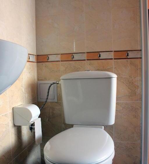 带大床的标准间, Osogovo Rooms