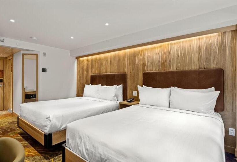 غرفة سوبيريور مطلة على الجبل, Otter