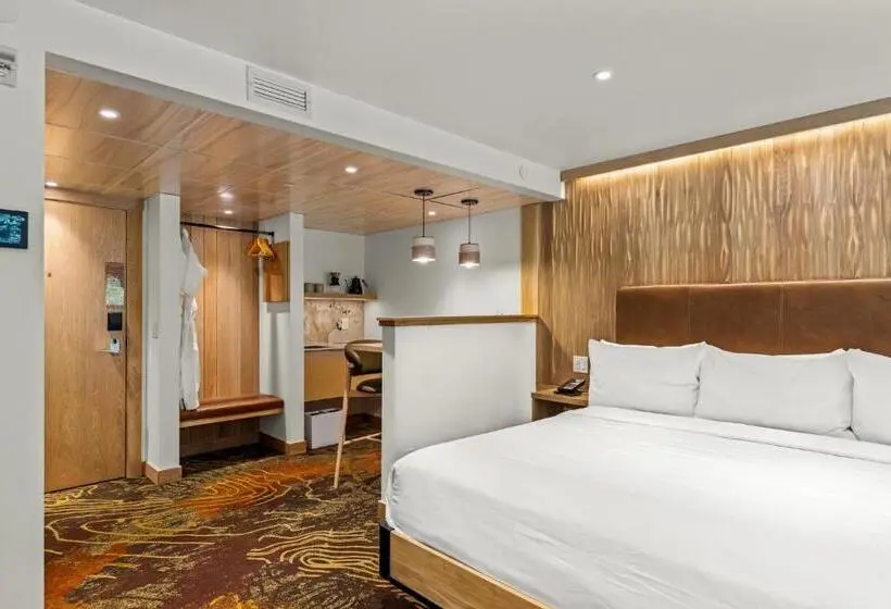 Suite Pat King, Otter