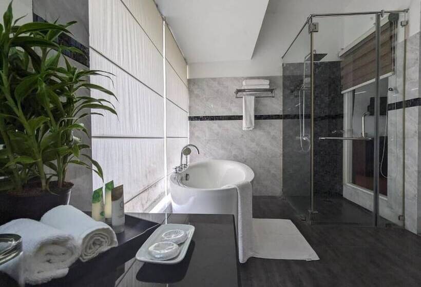 디럭스 룸, Daffodils Beach Negombo