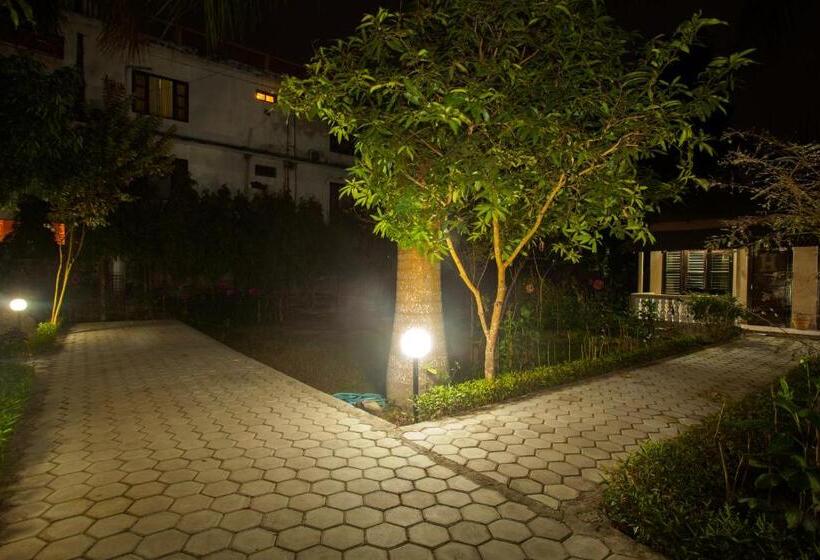 اتاق استاندارد با چشم‌انداز باغ, Sauraha Resort