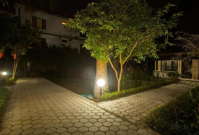 اتاق استاندارد با چشمانداز باغ, Sauraha Resort