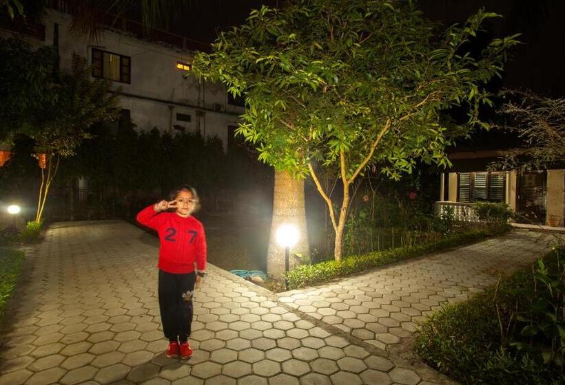 اتاق لوکس با چشم‌انداز باغ, Sauraha Resort
