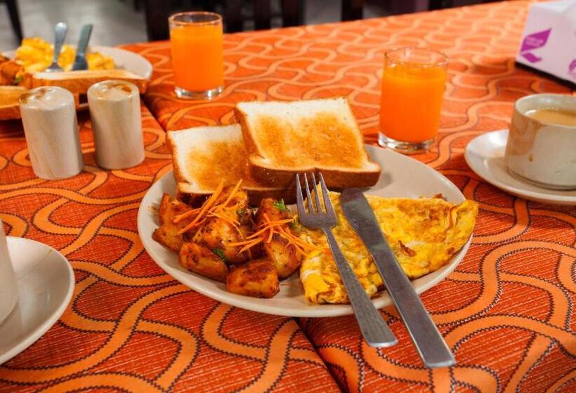 اتاق لوکس با چشم‌انداز باغ, Sauraha Resort