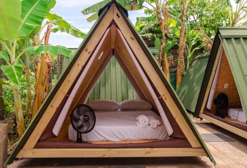 كوخ قياسي, Clan.destino Hostel