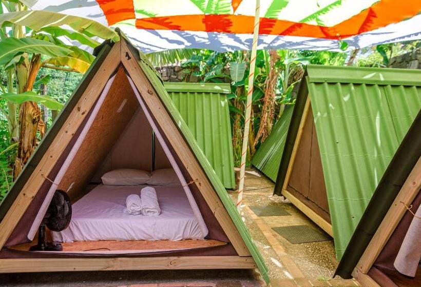 كوخ قياسي, Clan.destino Hostel