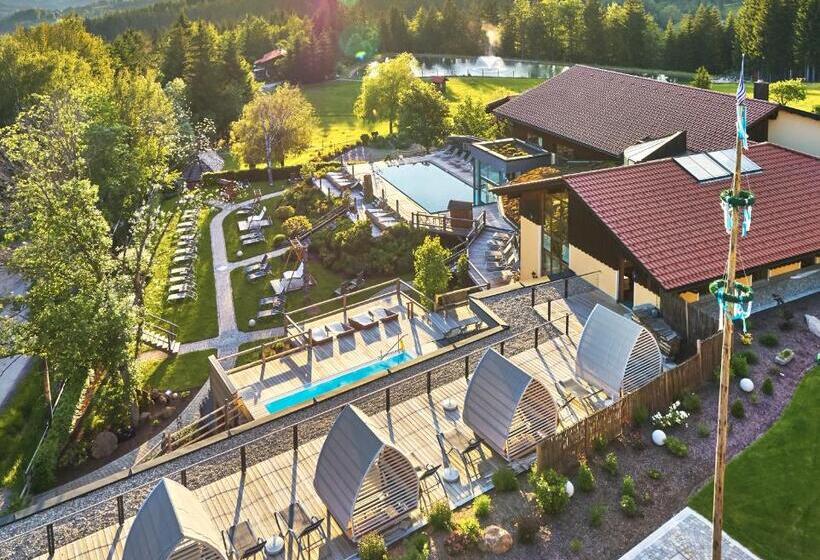 Номер Deluxe, Wellnesshotel Riedlberg