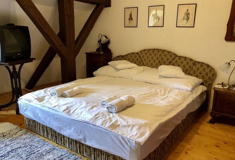 ダブルベッドスタンダードルーム, The Houses Of History  Anno 1830