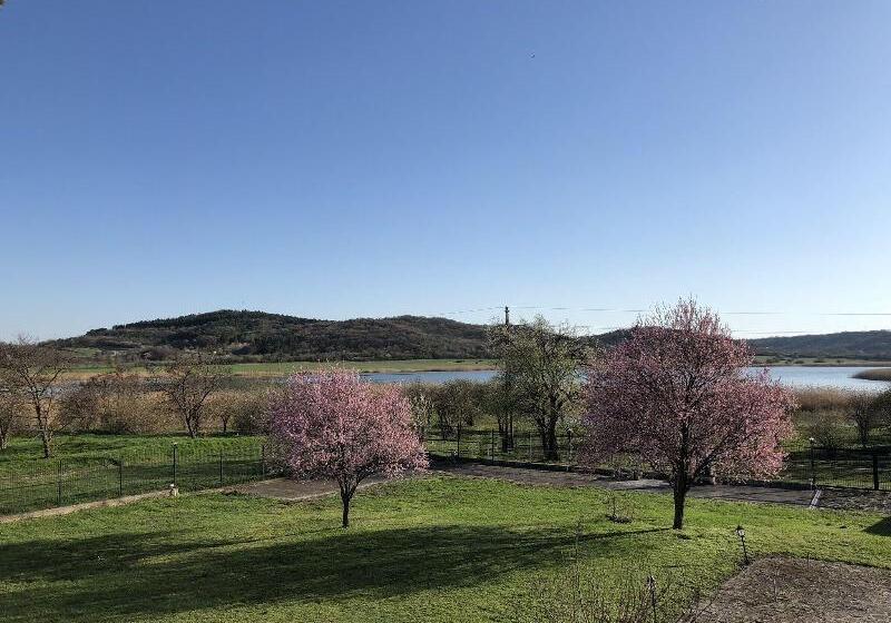 １ベッドルームのスーペリアアパートメント, The Houses Of History  Anno 1830