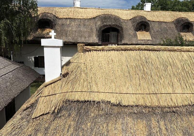 ガーデンビュースタンダードルーム, The Houses Of History  Anno 1830