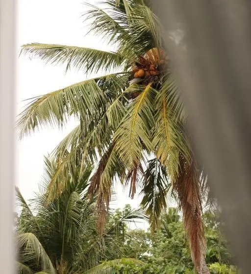 اتاق استاندارد یک نفره با چشمانداز دریا, Blissview Maldives Thulusdhoo