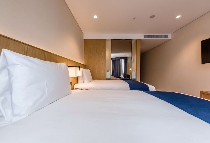 高级大房间, Sirius