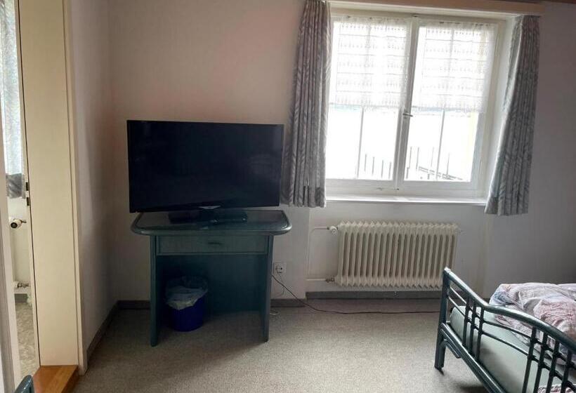 חדר סטנדרט, Seestern