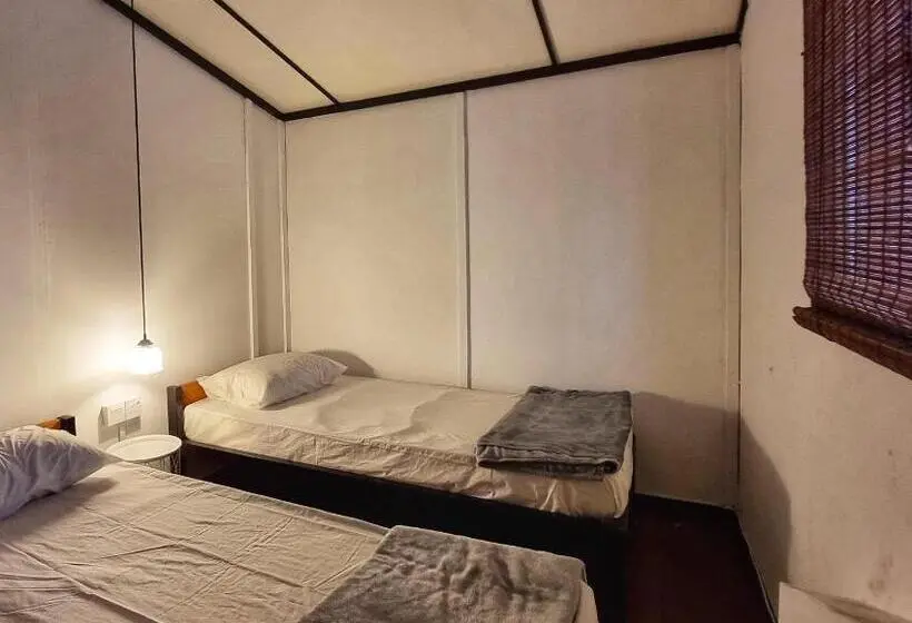 اتاق استاندارد, Treehouse Hostel