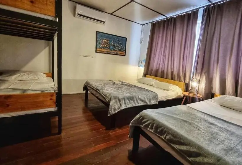 اتاق خانوادگی, Treehouse Hostel