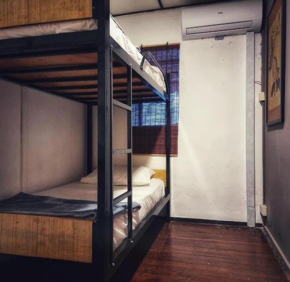 기본룸, Treehouse Hostel