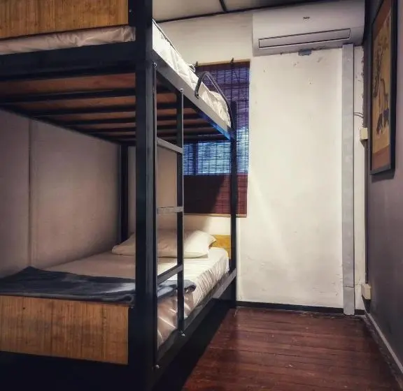 اتاق عادی, Treehouse Hostel